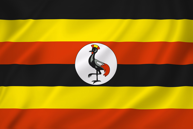 Uganda national flag background texture full frame.